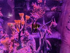 -沈阳海洋探索中心