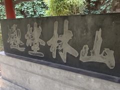 -迎泽公园