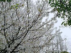 -汇龙潭