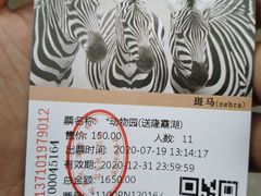 -西霞口神雕山野生动物世界