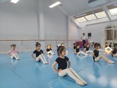 -西安小天鹅艺术团(曲江Alice店)