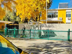 -三里屯东五街银杏大道