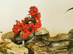 -颐和园
