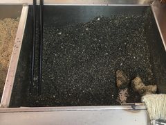 -叶氏麻糍(鼓浪屿店)