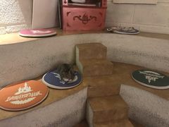 -逃脱反斗城沉浸剧情密室(北京路店)