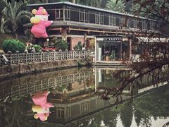 -三水森林公园