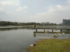 -美兰湖景区
