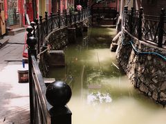 -小洲村
