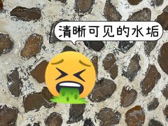 -龙女温泉度假酒店
