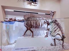 -国家自然博物馆