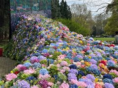 -上海共青森林公园