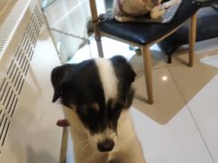 -平行世界·猫咖(首经贸店)