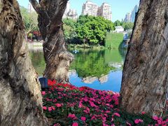 -荔湾湖公园