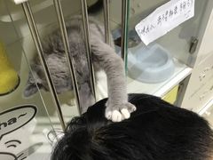 -1013 PET SHOP 宠物商店(近铁城市广场店)