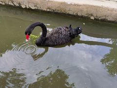 -南戴河国际娱乐中心