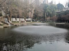 -温江公园