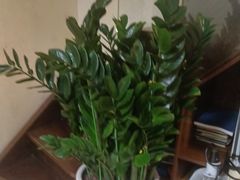 -张钰强中医正骨推拿连锁(华发商都店)