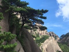 -黄山风景区