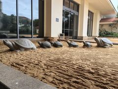 -海口喜来登酒店