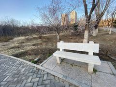 -滨河世纪广场公园