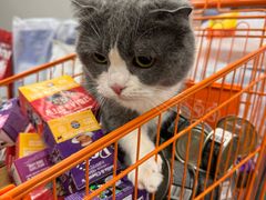 -帕帕拉兹宠物(亚洲旗舰店)