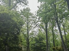 -苏州吴中太湖旅游区