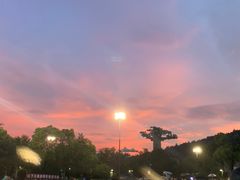 -苏州乐园森林水世界