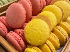 -长沙北辰洲际酒店-兰调全日餐厅