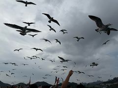 -海驴岛(荣成市)
