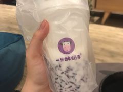 -一只酸奶牛(八一路店)