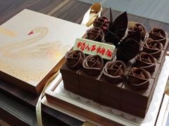 android_upload_pic-BLACKSWAN黑天鹅(环球店)