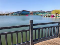 -上海长兴岛郊野公园