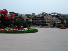 -石家庄市植物园