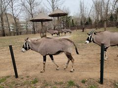 -大连森林动物园