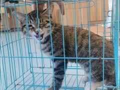 -萌兽医馆·犬猫专科·眼科中心·宠物医院(朝阳门分院)
