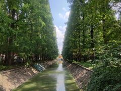 -东平国家森林公园