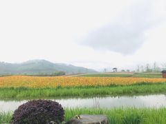 -径山花海