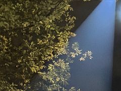 -中国农业银行24小时自助银行(北京东路支行)