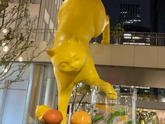 -深圳湾万象城(南山店)