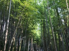 -径山寺