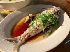 -百里鲜(羚羊峡古栈道森林公园店)