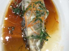 -頂好酒家·经典粤菜(海信广场店)