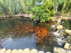 -大悲禅寺