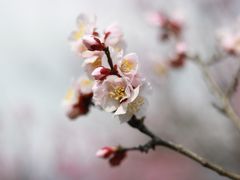 -南湖胖子砂锅(红庙店)