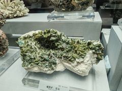 -湖南省地质博物馆