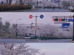 -雅鲁激流探险漂流