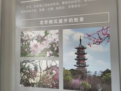 -上海市龙华烈士陵园