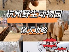 -杭州野生动物世界