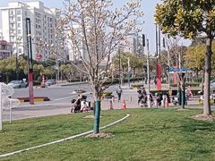 -浦江城市生活广场(江月路店)