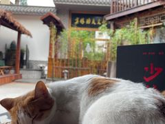 -少林功夫文化中心·独门独院